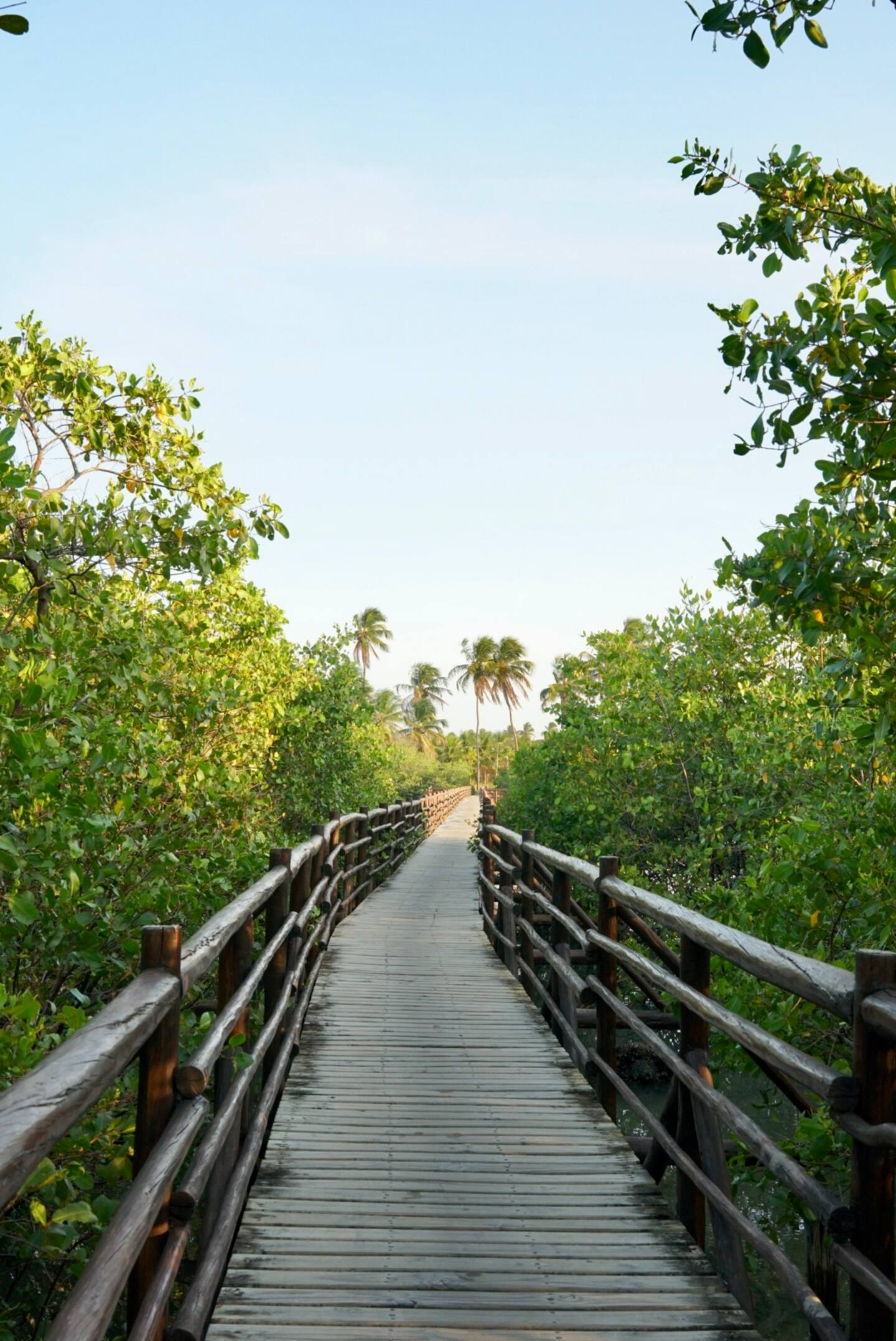 Ponte sob o Rio Tatuamunha onde fica a Villa Samburá na Rota Ecológica dos Milagres